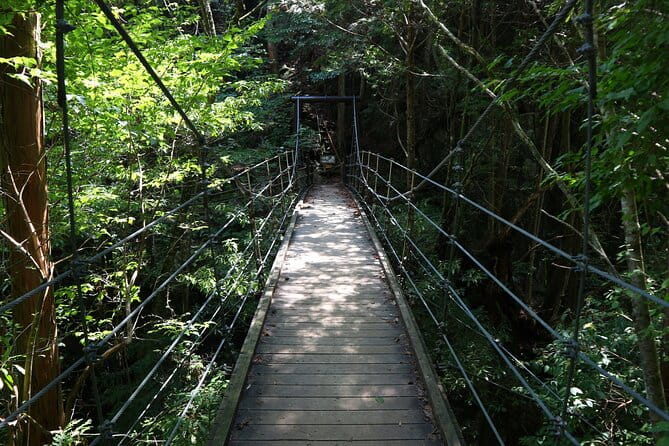 From Nagoya: Hidden Gems of the Kiso Valley