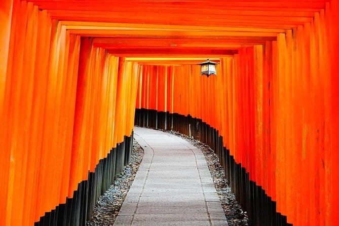 From Osaka/Kyoto: Kyoto & Nara Day Trip With Lunch