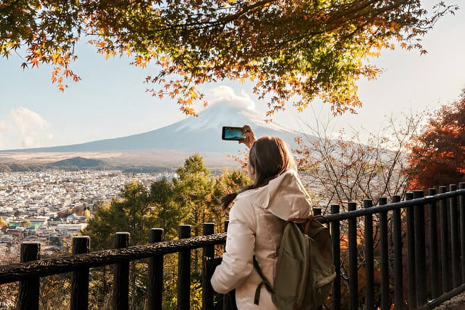 From Tokyo: Mt Fuji and Hakone Private Day Trip - Mt Fuji: Exploring the Iconic Volcano