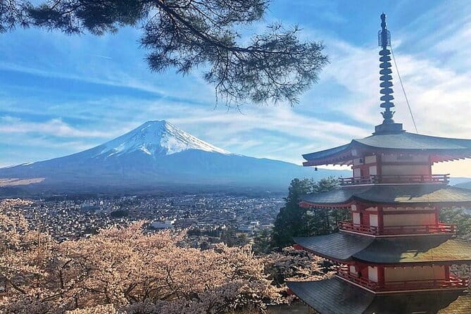 From Tokyo Private Trip to Mount Fuji and Lake Kawaguchi