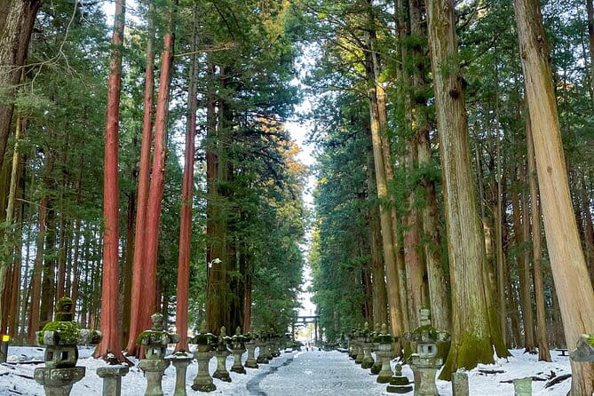 From Tokyo to Mount Fuji! Private Car Tour by Eng Speaking Driver