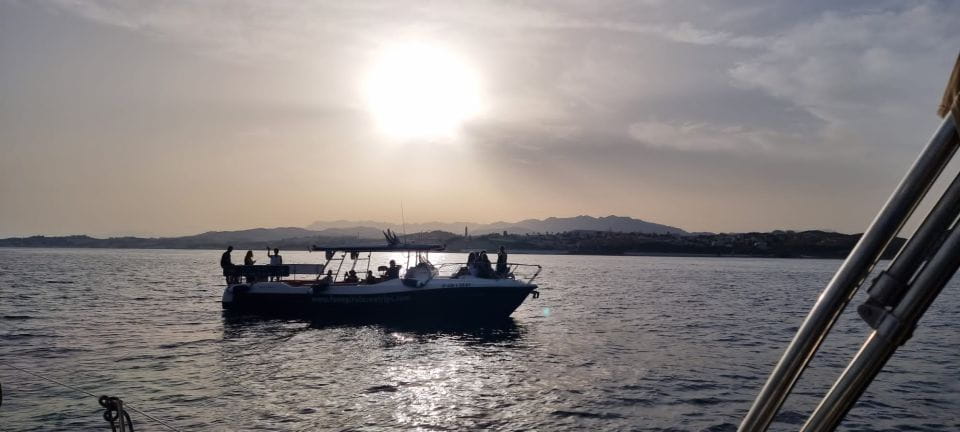 Fuengirola: Fantastic Dolphin Watching Yacht Tour - Overview of the Tour
