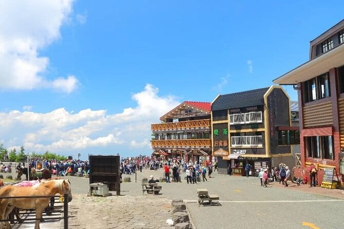 Full Day Guided Trip to Mt. Fuji and Hakone From Tokyo