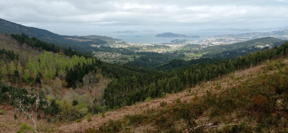 Gallaecian-Roman Gold Mining in Serra Da Groba Tour - Tour Overview