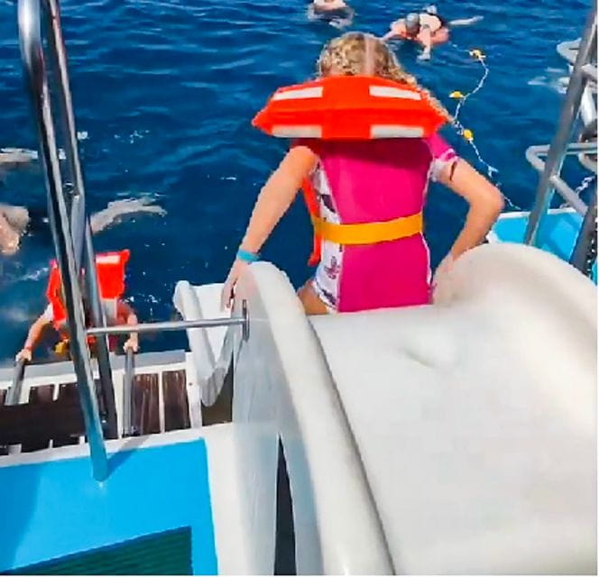 Gran Canaria: Catamaran Dolphin Watch Cruise With Snorkeling - Activity Overview