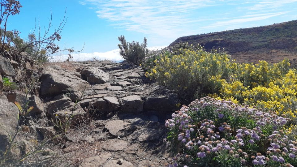 Gran Canaria: Full-Day Guided Hiking With Snacks - Activity Overview