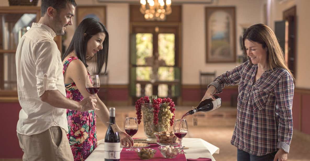 Gran Canaria: Winery Tour, Wine Museum, and Tasting - Overview of Gran Canaria Winery Tour