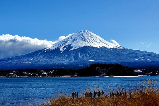 Guided 2 Days Tour Tokyo ,Mt Fuji and Hakone GREEN NUMBER PLATES