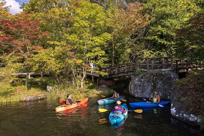 Guided Canoe Tour to the Springs and Highlands of Shirakaba Lake - Overview of the Tour Experience