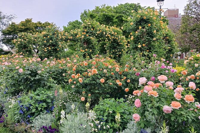 Guided History & Nature Exploration in the Yokohama Hill Area - Overview and Details