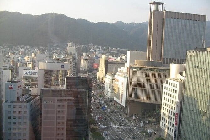 Half-Day Private Guided City Tour of Kobe