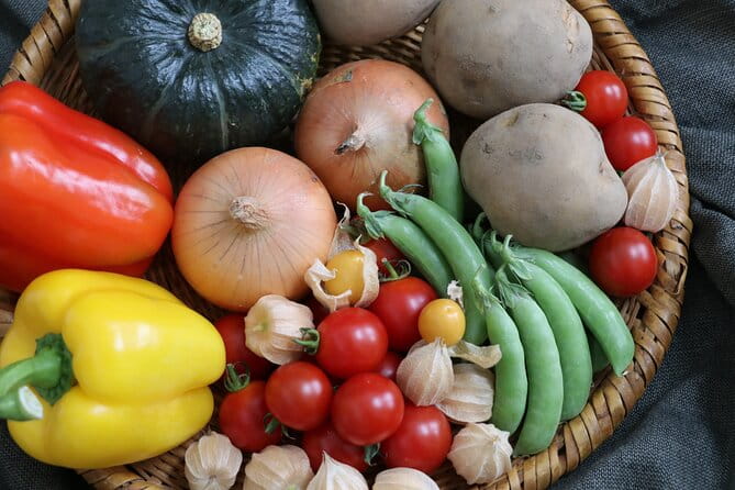 Harvest Experience in Akaigawa With Lunch Freshly Picked Veggies