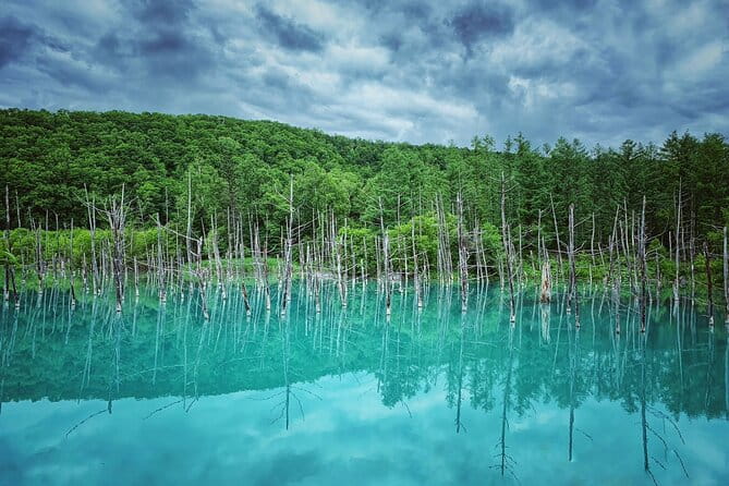 Hokkaido Furano and Biei Private Day Tour（Depart From Sapporo）