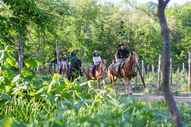 Horseback-Riding in a Country Side in Sapporo – Private Transfer Is Included