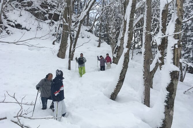 Icicle Trekking Nishiwaga Town, Iwate Prefecture - Overview of Icicle Trekking Experience