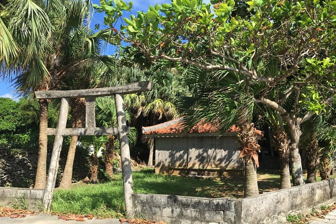 Iriomote Culture Discovery. Indigenous Culture on Iriomote Island - Tour Overview