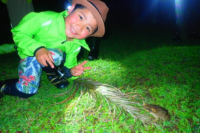 [Ishigaki] Night Jungle Tour