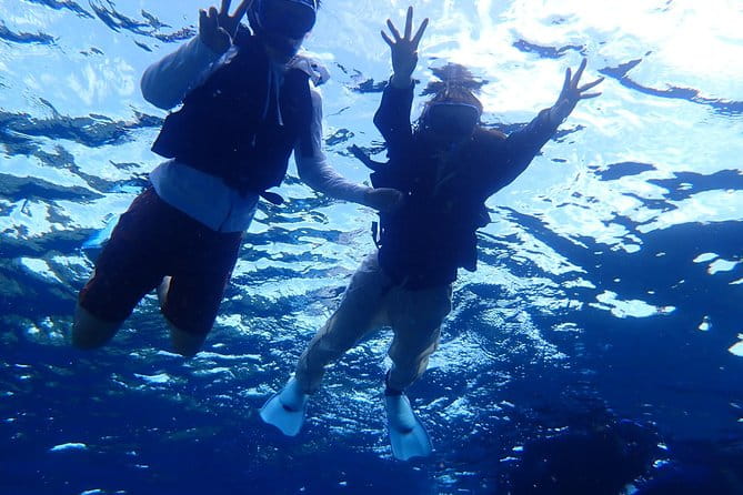 Ishigaki Phantom Island Snorkeling Taketomi Island Sightseeing