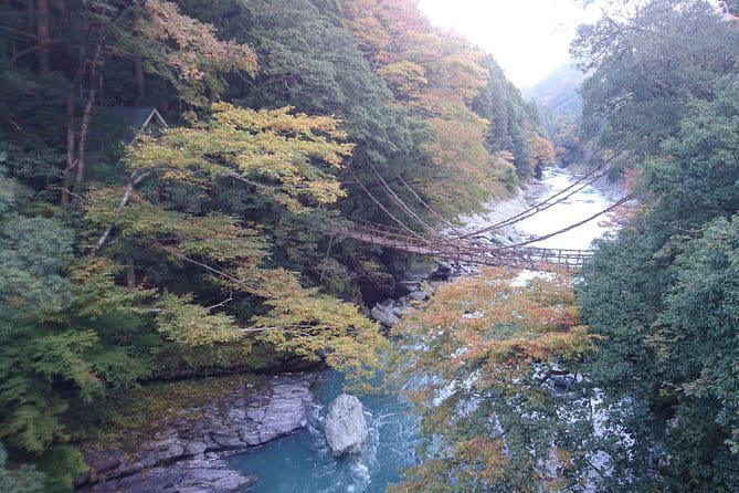 Iya Valley BROMPTON Slow Cycling Tour