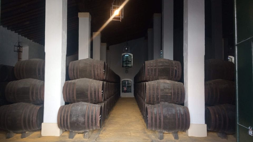 Jerez De La Frontera: Sherry Winery Tour With Tasting - Overview of the Tour