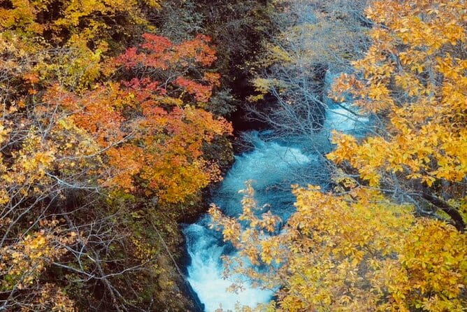 Jozankei Autumn Leaves Day Tour by Private Car - Transportation Details