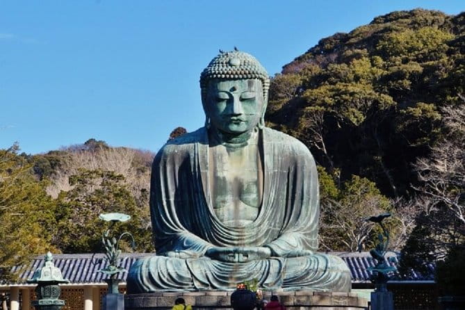 Kamakura Bamboo Forest and Great Buddha Private Tour - Tour Overview