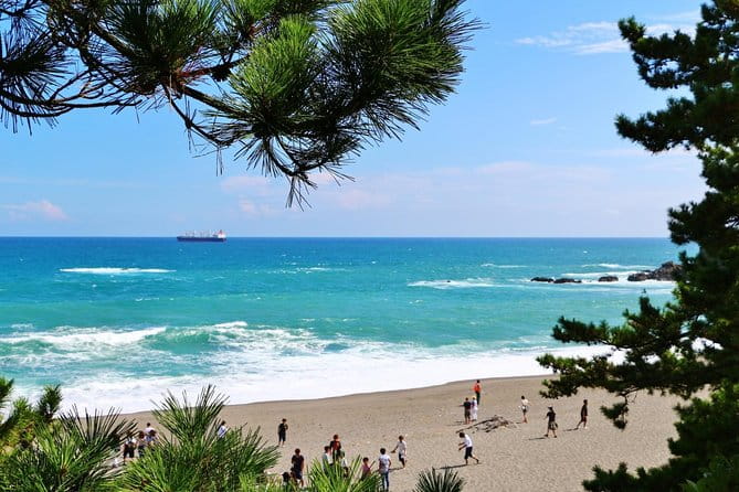 Kochi Full-Day Private Trip With Government-Licensed Guide