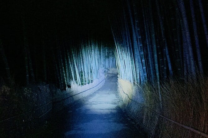 Kyoto Ghost Tour: Dark Tales, Urban Legends, Bamboo Forest Night - Overview of the Kyoto Ghost Tour