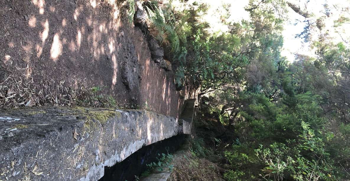 La Palma: Return Bus Transfer to Marcos Y Cordero Springs