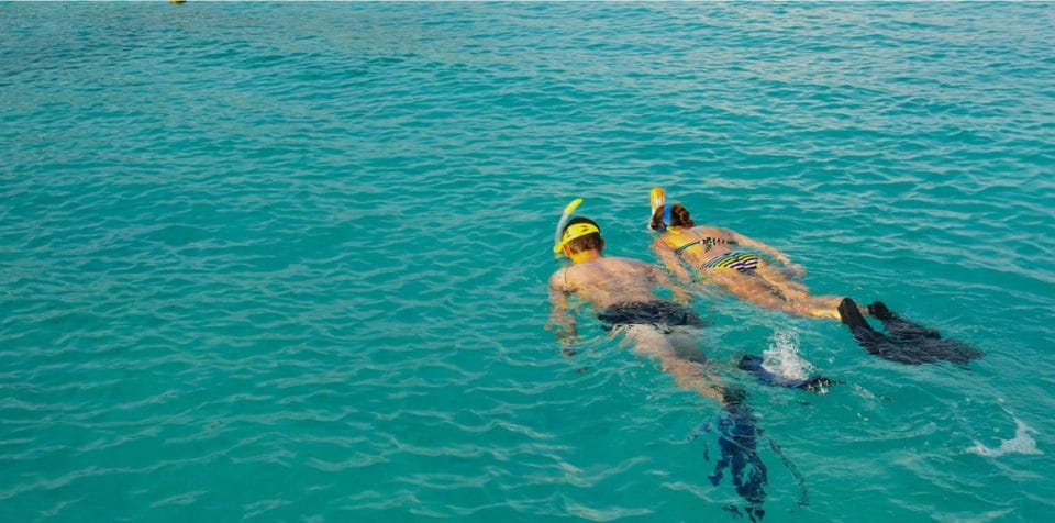 La Palma: Snorkeling Tour in Los Cancajos