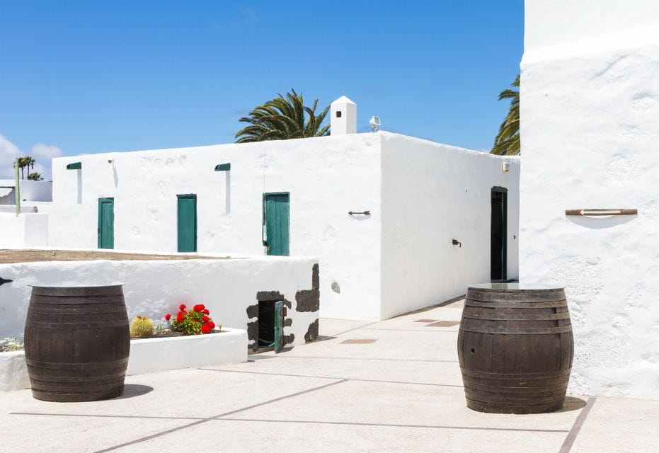 Lanzarote: Audio Guided Tour of the El Grifo Wine Museum - Tour Overview