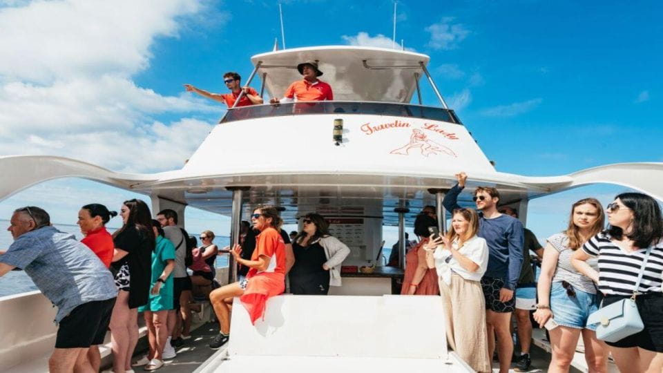 Los Cristianos: Eco Yacht Whale Watching Tour at Sunset