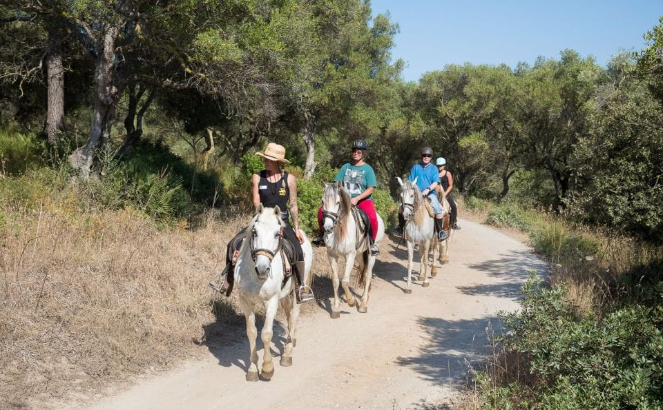 Mallorca: Horseback Riding Excursion and Wine Tasting - Activity Overview
