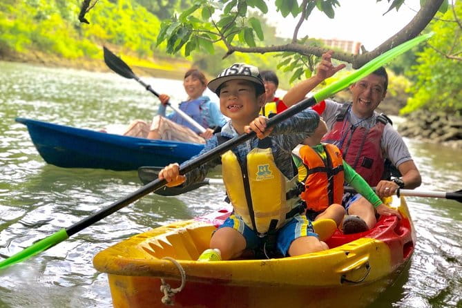 Mangrove Kayaking to Enjoy Nature in Okinawa