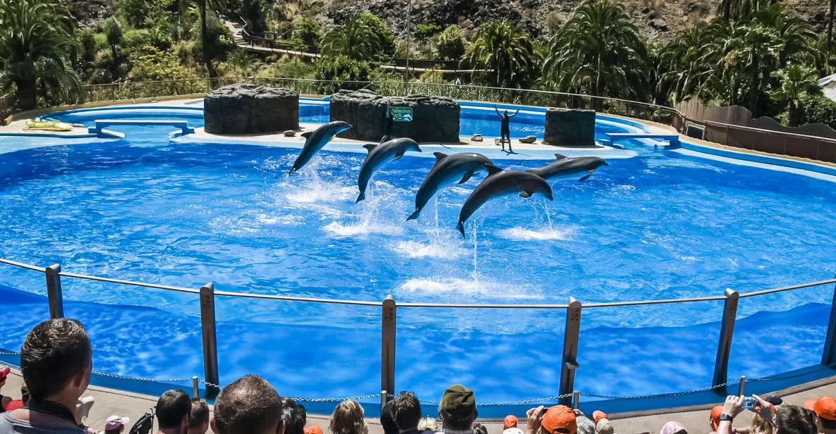 Maspalomas: Palmitos Park Ticket With Dolphin and Bird Shows - Ticket Information and Pricing