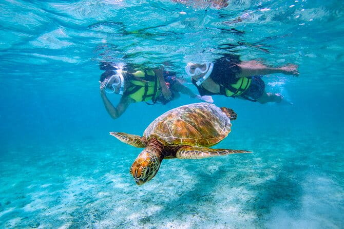 Miyakojima / Snorkel Tour to Swim With Sea Turtles - Tour Overview and Location