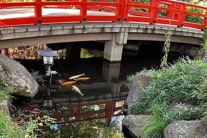 Morning Walk and Home-Style Japanese Lunch at Chiba City - Experience Overview