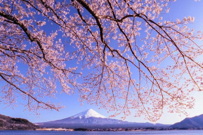 Mount Fuji Full Day Tour Form Tokyo Lake Kawaguchi & Yamanaka - Tour Overview