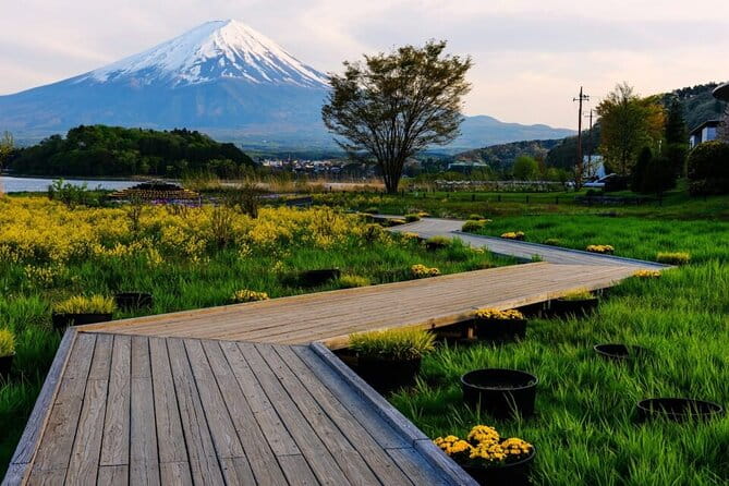 Mount Fuji One Day Tour From Tokyo Japan