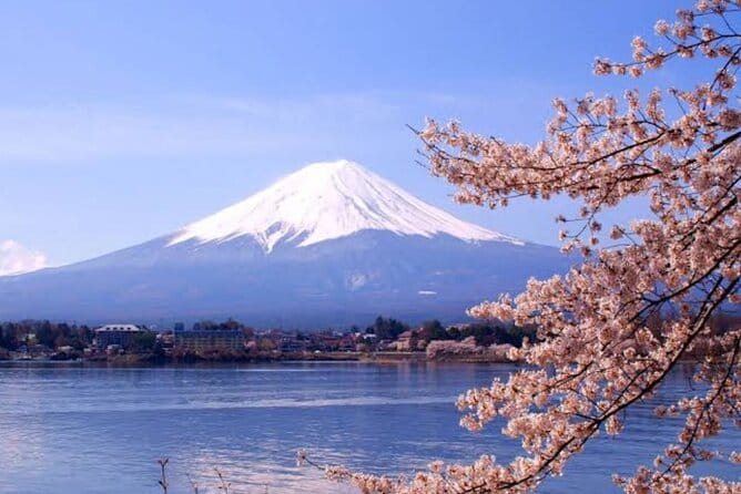 Mount Fuji Sightseeing Day Tour With English-Speaking Driver - Pickup and Drop-off Details