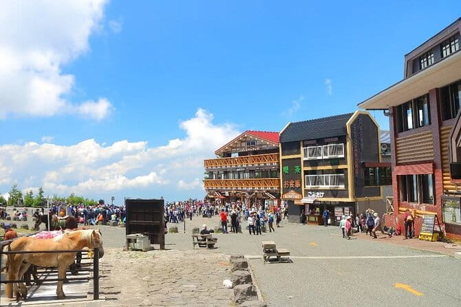 Mt Fuji and Hakone One Day Tour Departure From Tokyo With Lunch