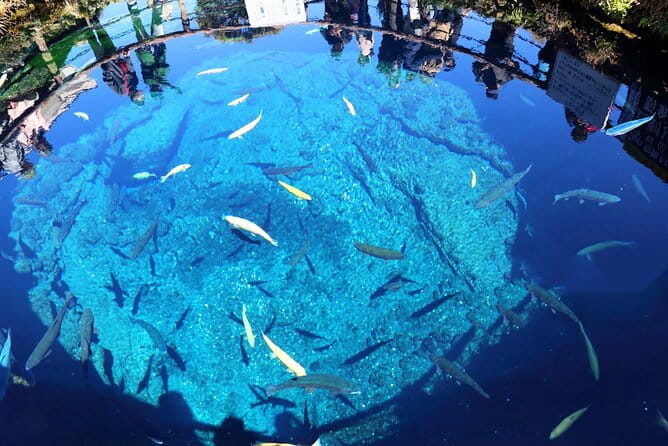 Mt.Fuji Arakurayama Sengen Park,Oshino Hakkai,Kawaguchi Lake Tour