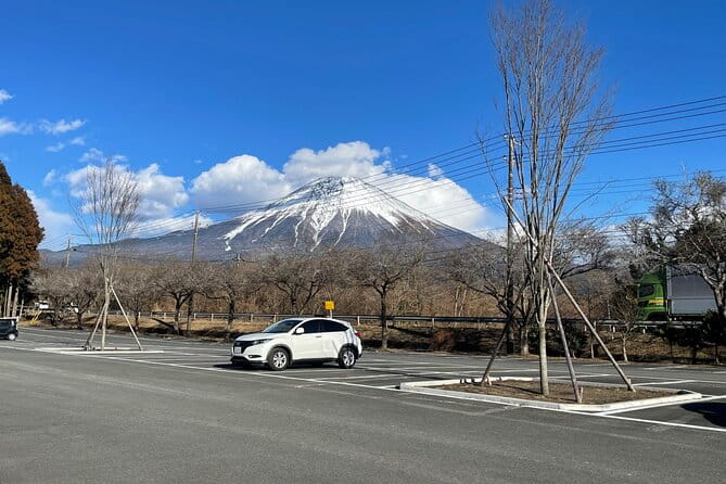Mt Fuji/Hakone Private Tour From Tokyo/Yokohama