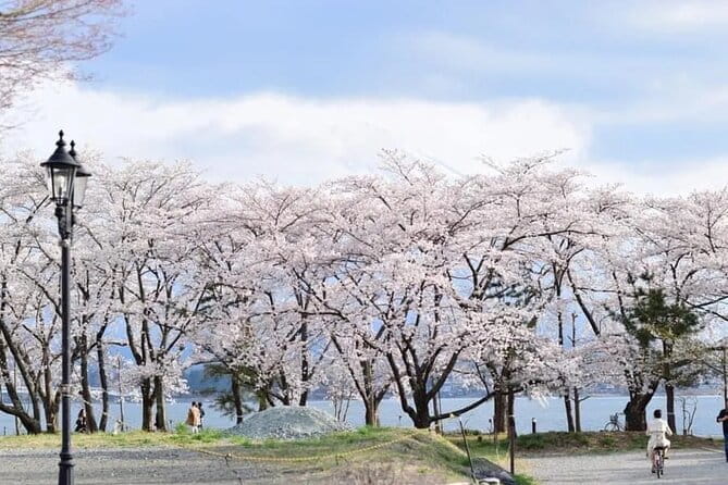 Mt Fuji Kawaguchiko Oishi Park Oshino Hakkai & Gotemba Tour｜Tokyo