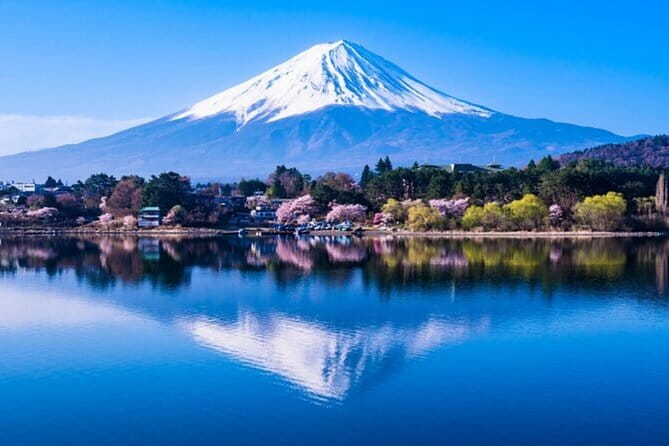 Mt. Fuji Private Tour From Tokyo With English Guide