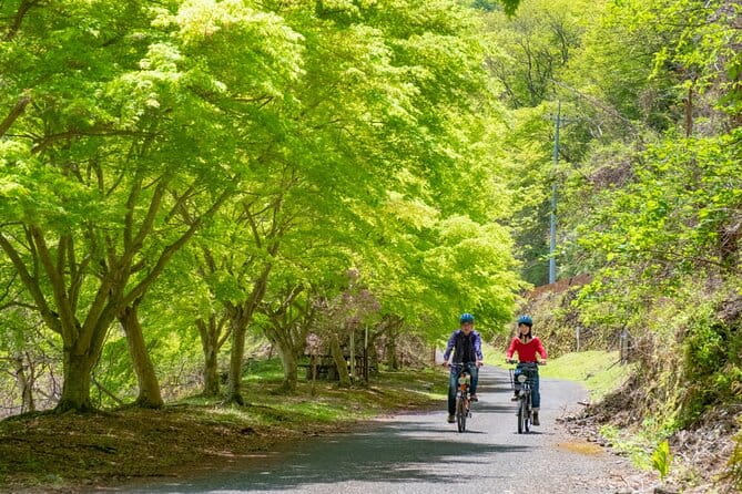 MTB, Hybrid or Gravel Road Bike Rental in Okutama, Tokyo