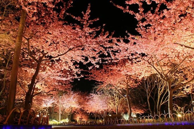 Nagashima Mitsui Park and Nagashima Hot Spring One Day Tour - Tour Overview