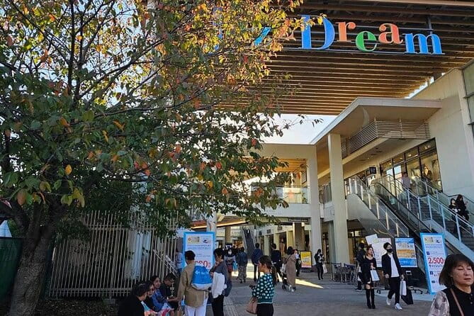 Nagashima Spa Land and Jazz Dream Outlet Tour From Nagoya - Overview of Nagashima Spa Land