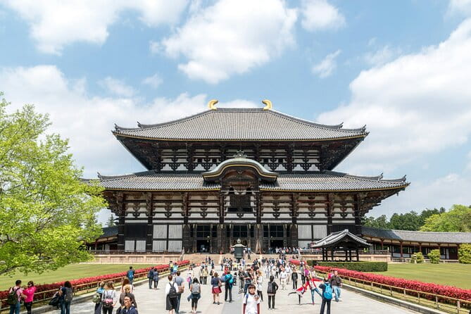 Nara Heritage Walkabout From Nara Park to Todaji Temple - Meeting Point and Tour Logistics