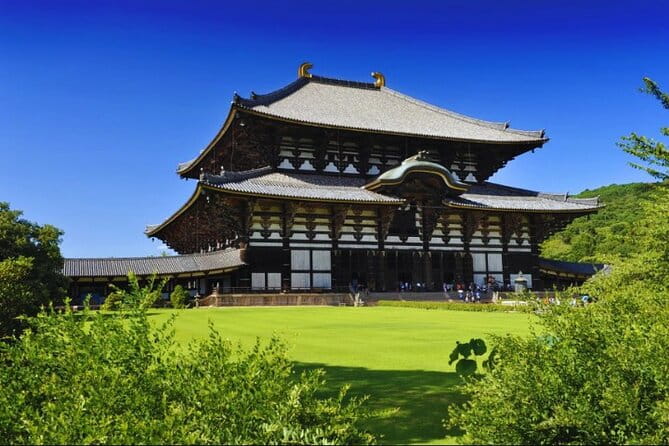 Nara, Todaiji Temple & Kuroshio Market Day BUS Tour From Osaka - Tour Overview and Details
